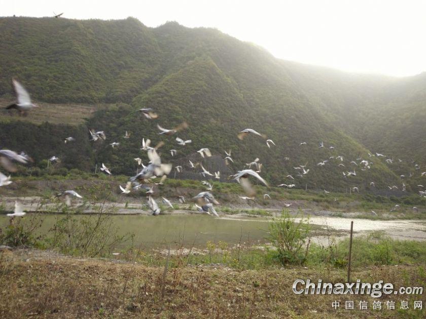 ���������˼ά