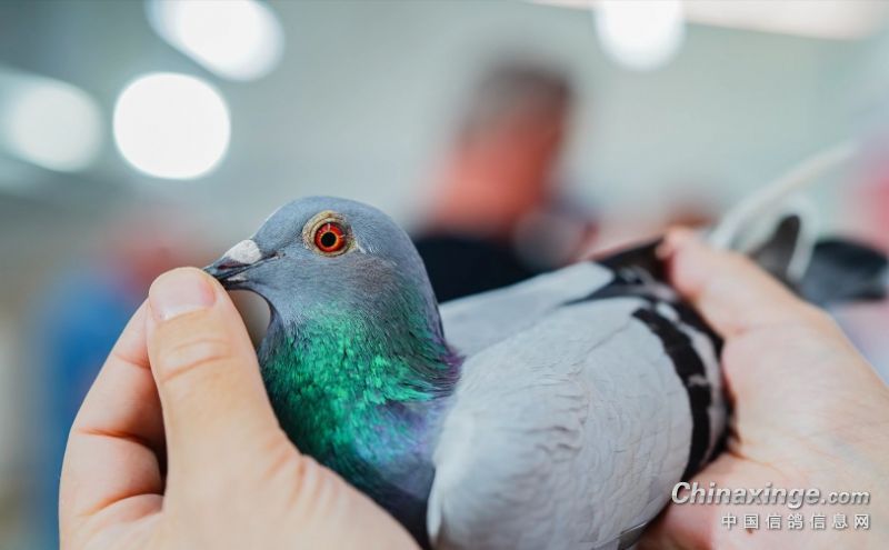  ʵ��֤��������̫���ɲ���