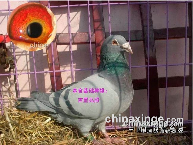 ������� ������Ż�Ѽ� 