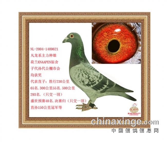 ��լ������� ��̨���ᵲ��ס�Ȱ� 