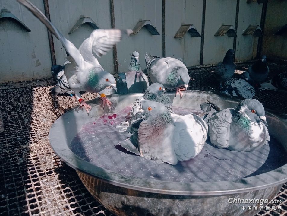 ����Ŀ�Ĳ�ͬ ��������ʵ��