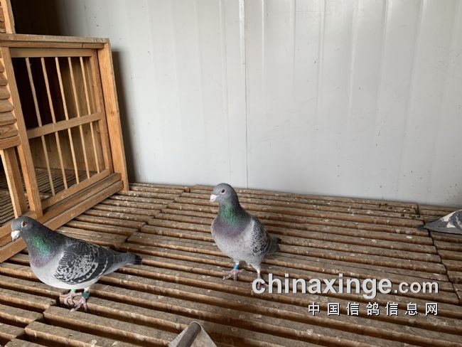 ����û�õ�����