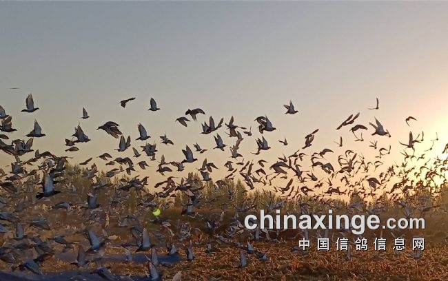 ���ｲ����ʱ�����˺�