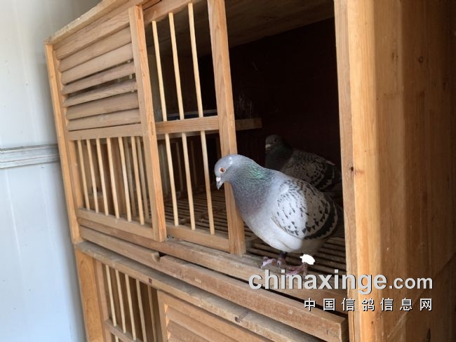 ��ʦҲ����ûһ��ɻ�