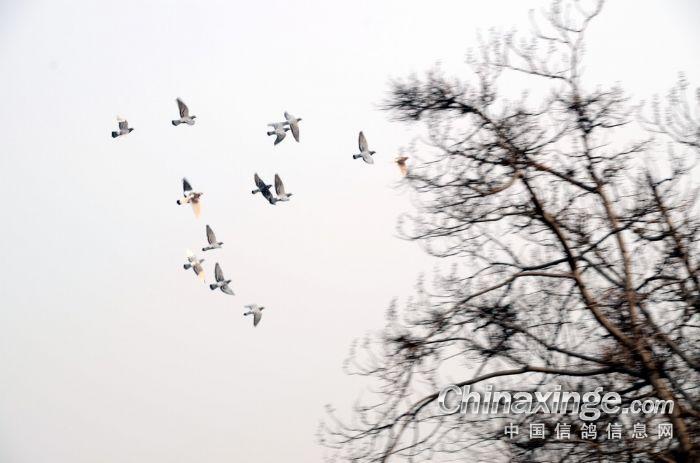 ����������Ӳ����ԭ��̽��