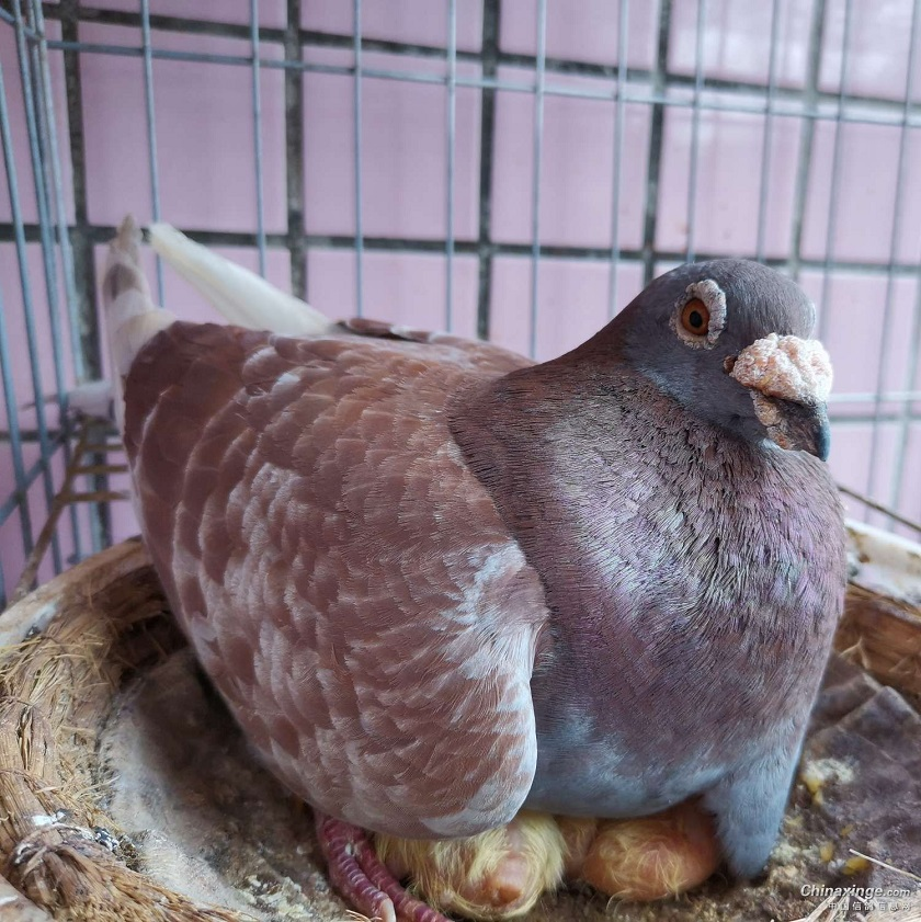 ��׬Ǯ���뵽����׬Ǯ ��Ҫ�߶�ã�