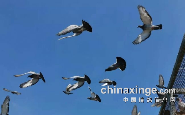 ū���첻��������