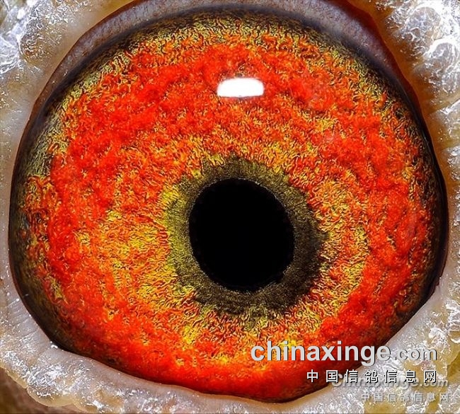 ����Ҫ�д�ֹ� ����ƫ�Ÿ�����