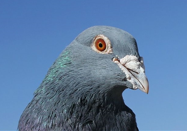 �����Ҵ�С���Ӹ�ֵ��