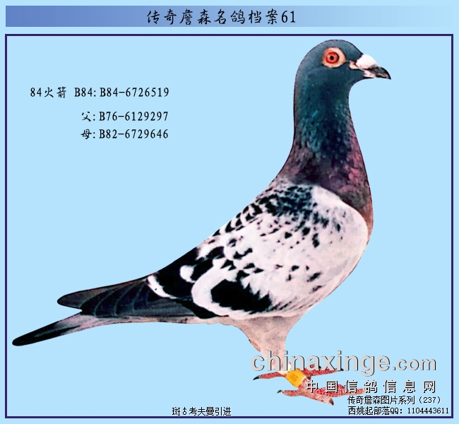 ����ղɭ���뵵�������84