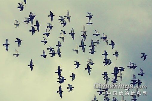 ��벻���Ӿ���ƭ�ӣ�