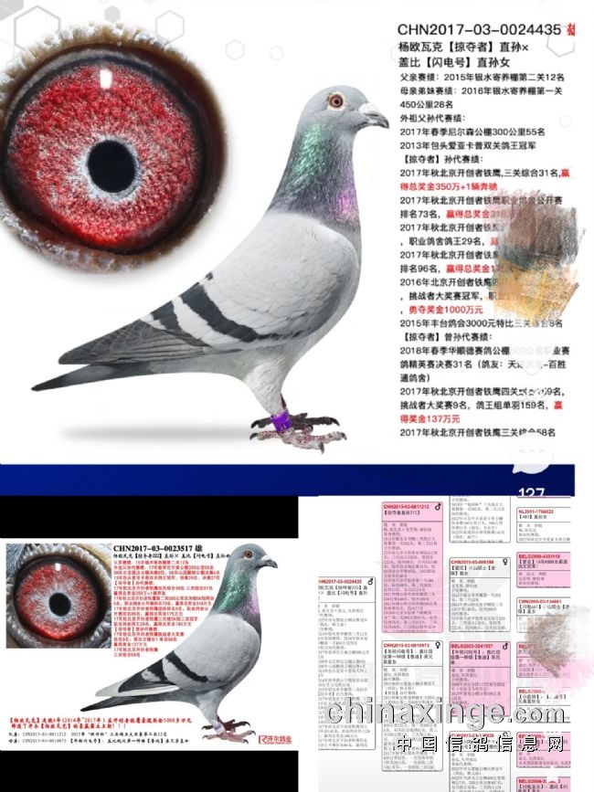 �ָ�Ҫ�о����� �������˱�ԩ������