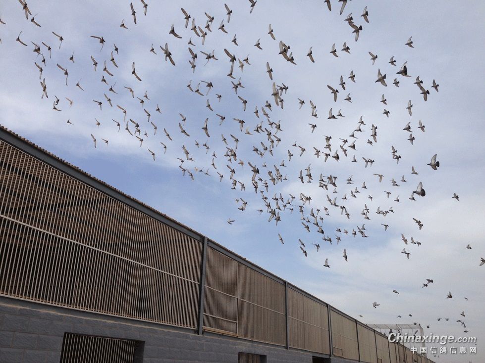 2023�괺�� ��˵���㲻����