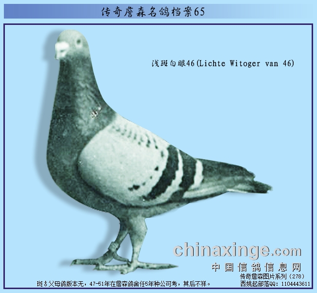  ����ղɭ���룺ǳ�߰���46