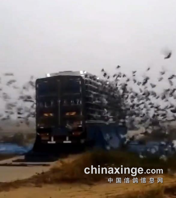 ���������������Ź֣�