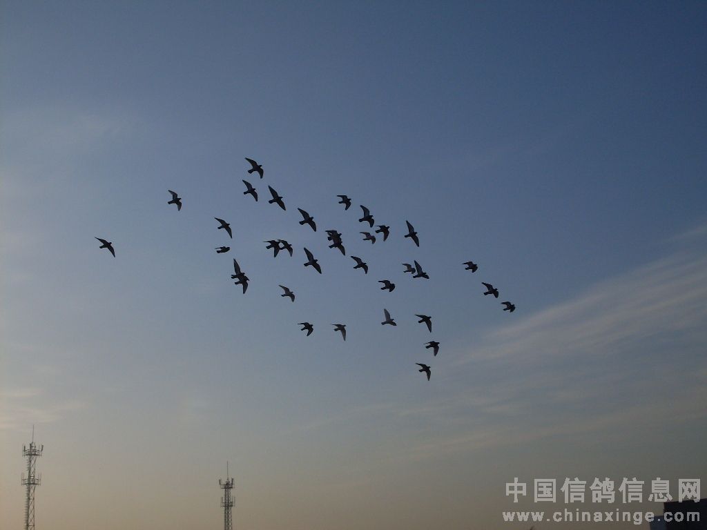 ����������Ӳ����ԭ��̽��