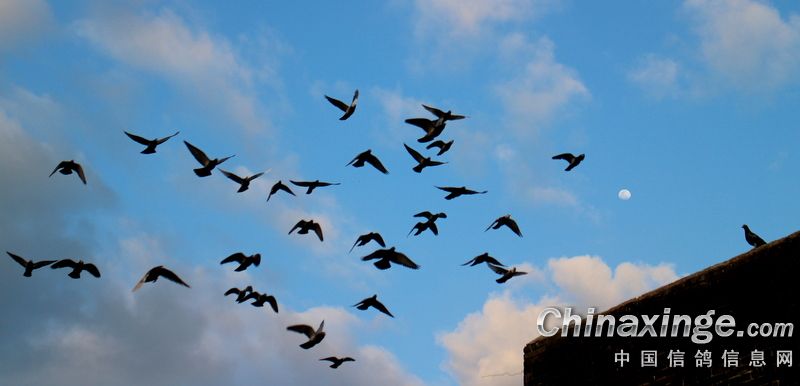 ���ҵ�����ʤ��һ��