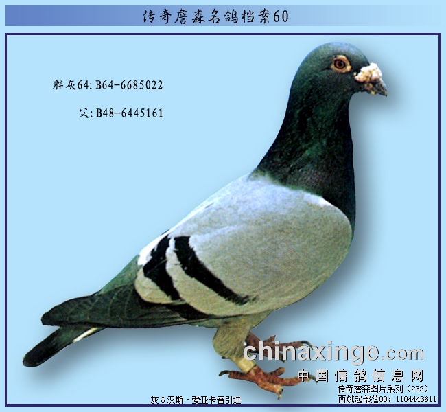 ����ղɭ���룺�ּ���48