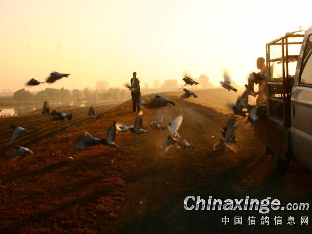 �������ܽ᣺���ݺݴ�����