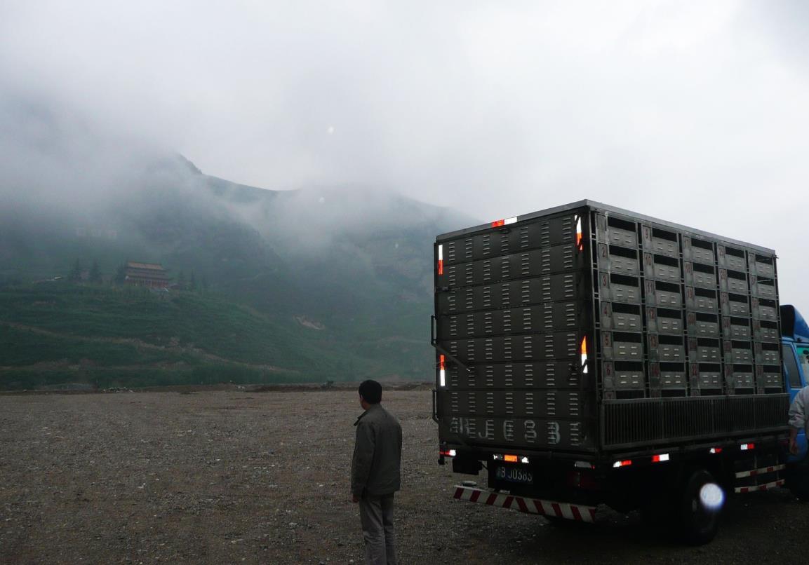 �������迪������ ����ô����