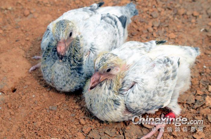 �����Ҵ�С���Ӹ��ﳬ��ֵ��