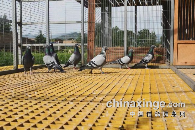 һ��������һ������ͼ��