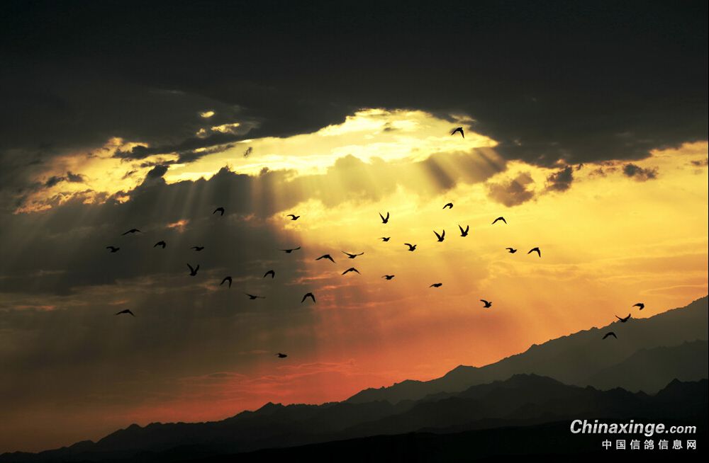 ��Զ���ػ��۷壿���ǿںź�������