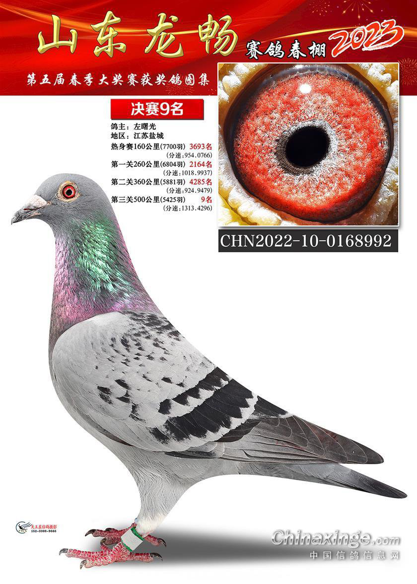 �ø���к�Ѫͳ �������ǿ��