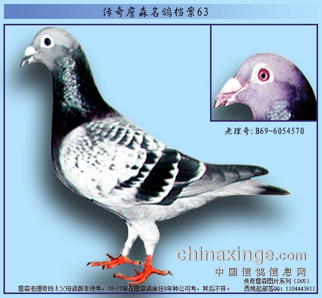 ����ղɭ���룺������