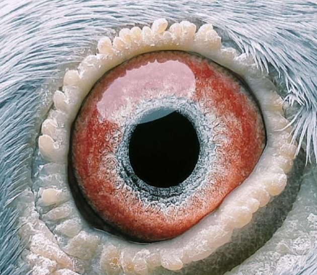 ��������Ϲ�������ǹ��򲻵��ң�