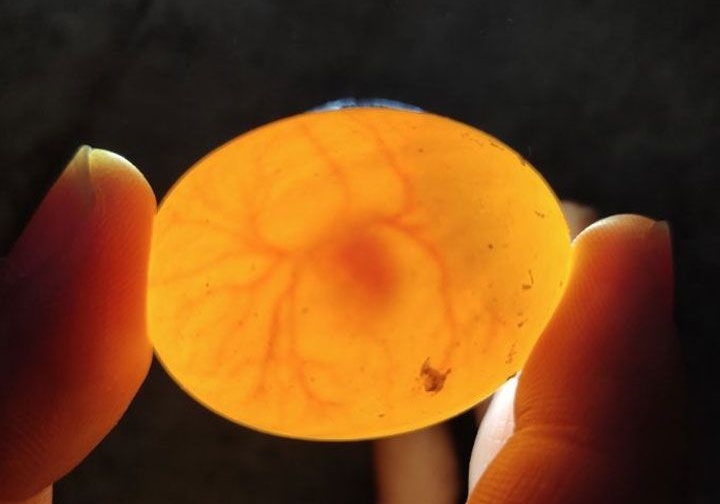 ����������Ϯ ����򿪴����겻��