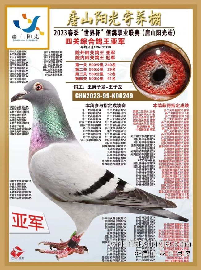  һ·��Ѫ������ �������������и���