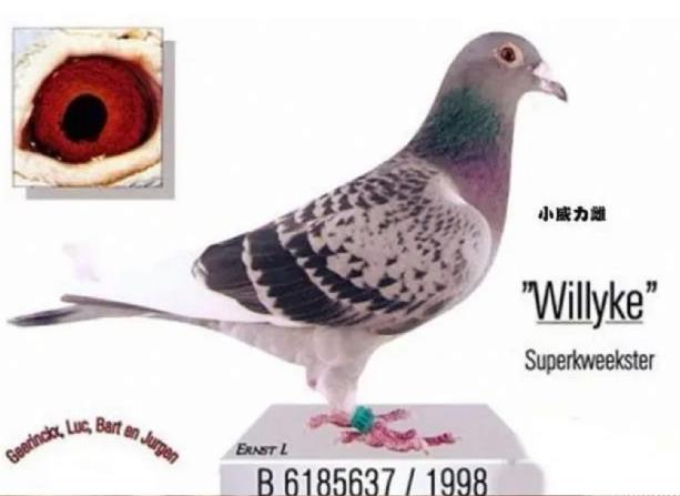 �ھ�����Ϊ�ϴ��йھ��Ļ���