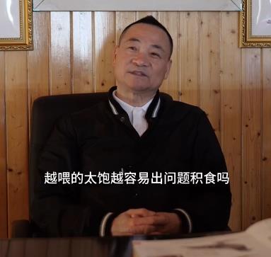 ���飺�������Ÿ��������