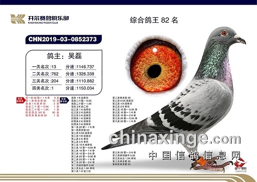 �����ھ��뱳��Ĺ��£�һ��