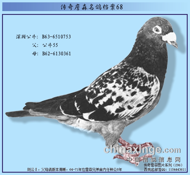 ����ղɭ���뵵������ţ63