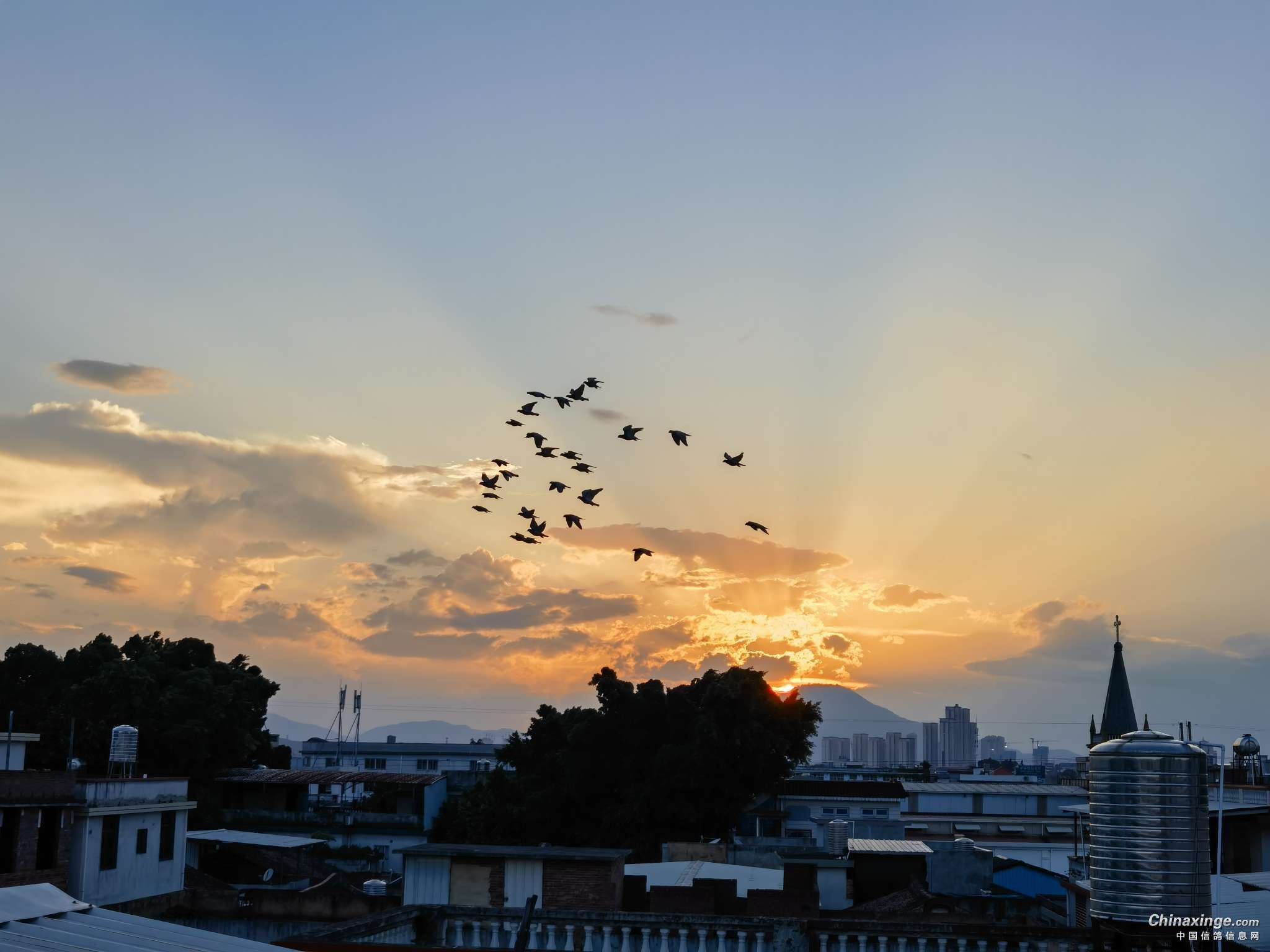 ���³ɼ����ܵõ���֪