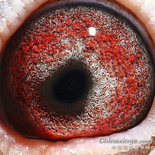 �����ŵ���û�У�