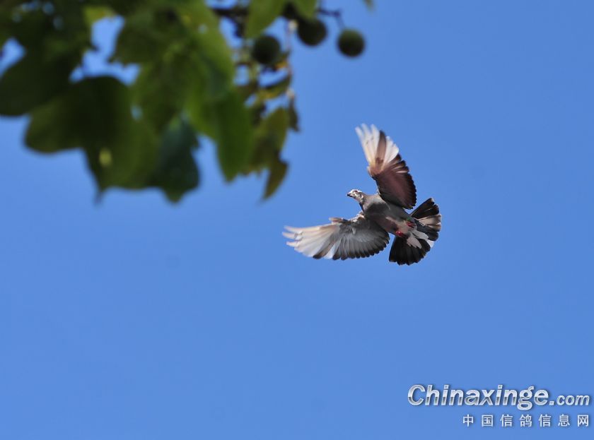 ���ݻ��˸���̽�������ַ�