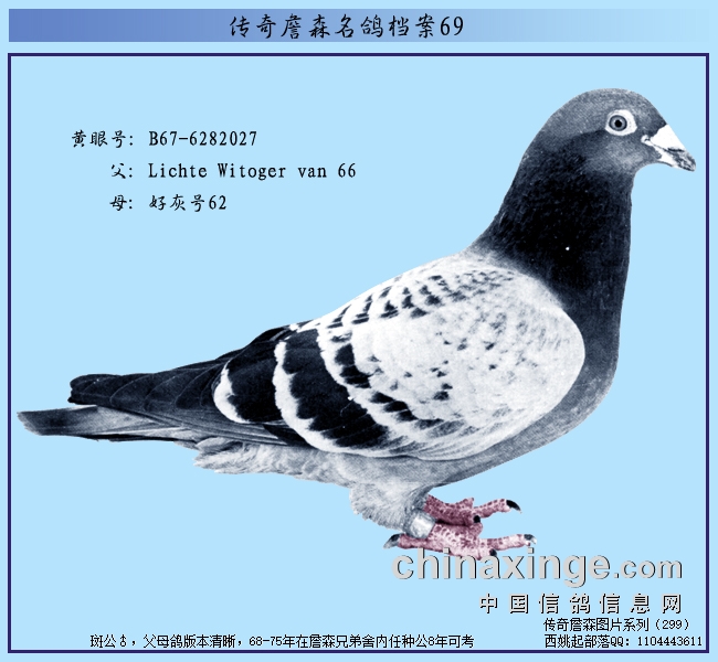 ղɭ�ֵܴ����룺15�ιھ��ϻ���