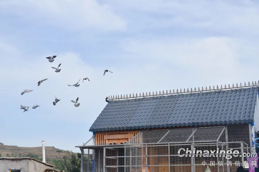 ˵һ�¶���ν�����ֵ�һ��㿴��