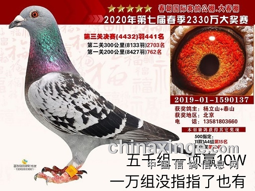 ������Ե ��ЧӦ��������ʶ