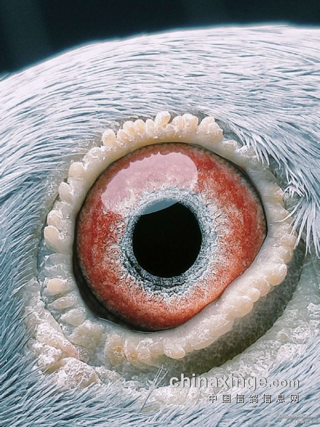 ����������֮��