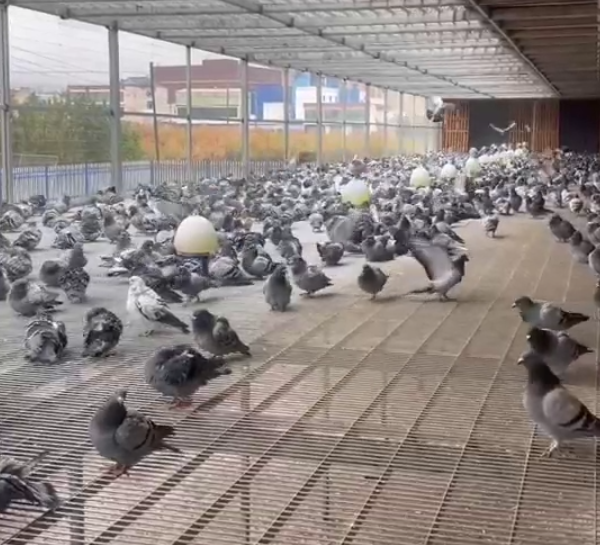 С������ȥӮ������ȡůҲ��˼·