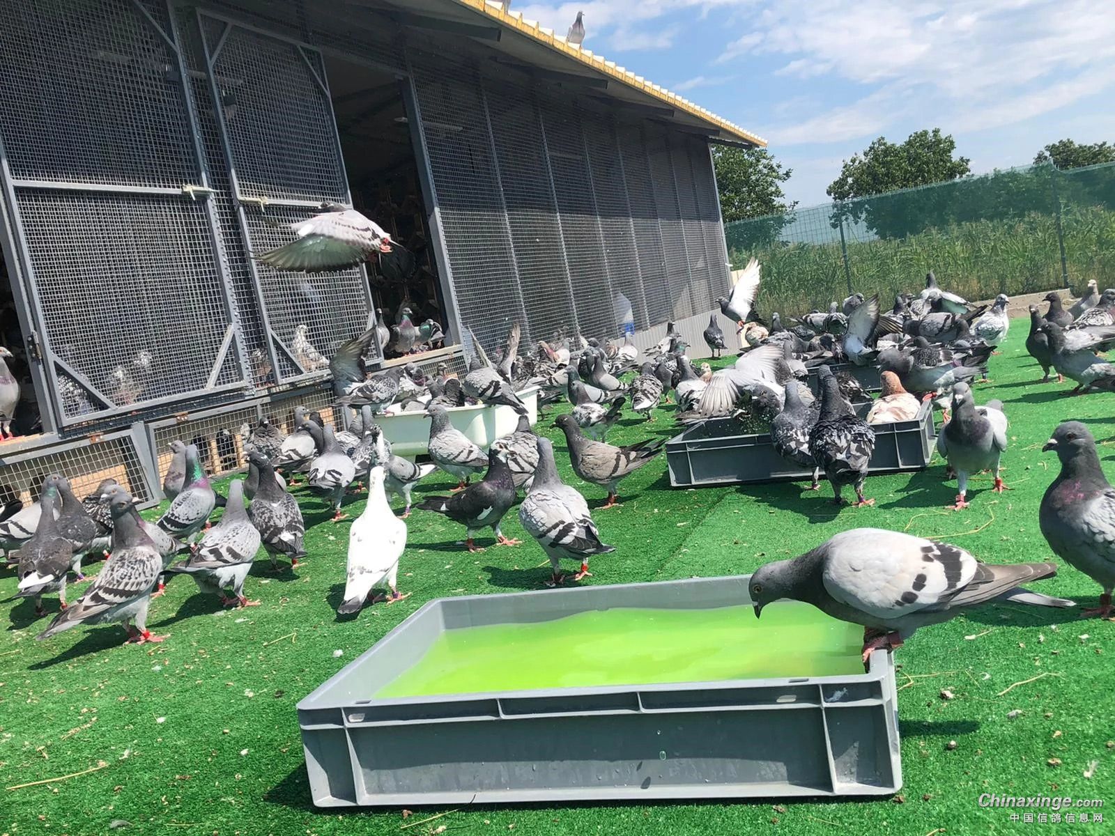 �Ϳ�����ȴ�ѳ�Ʒϵ��