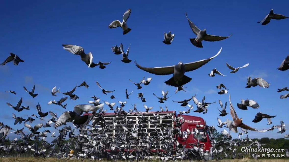 �й����������ϳ�ŷ�ޣ�