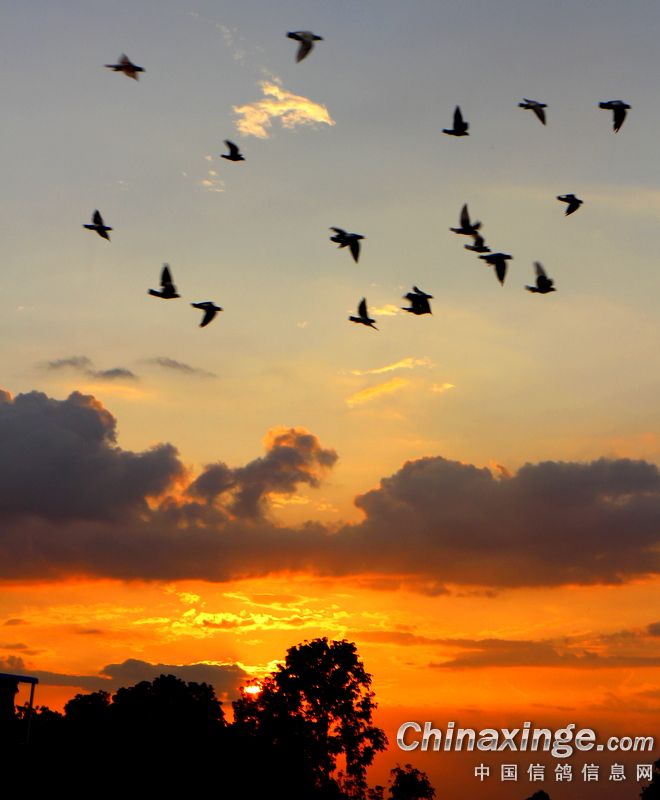 С������ȥӮ������ȡůҲ��˼·