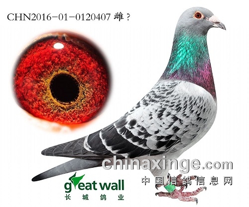 �ҵĹھ�����Ĺ��£�����