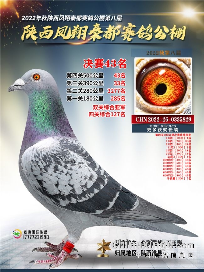 ���Ԥ�����볬��ɱ��-�ٲ�����