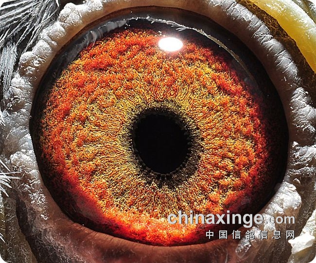 ���ǲ������� �Ҳ���Ӯ����